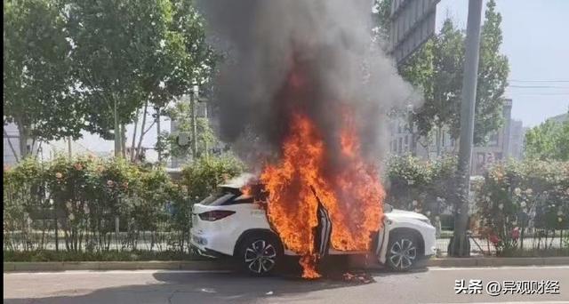 泡财经