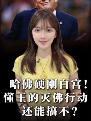 泡财经