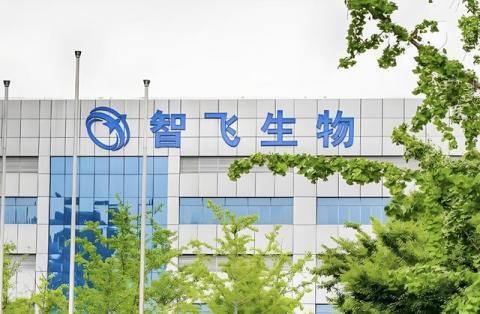市值缩水超3100亿！智飞生物，亏损加剧