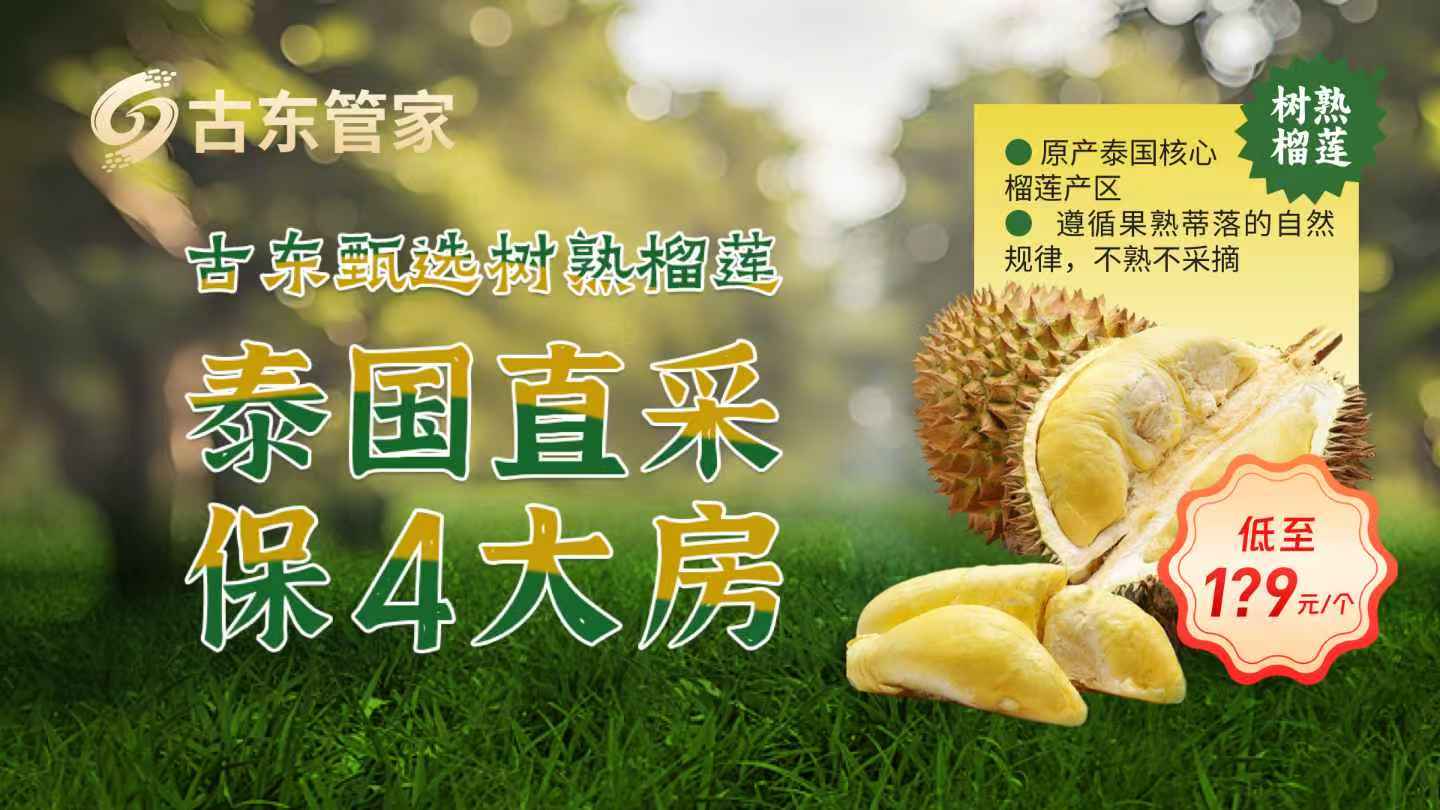 泡财经