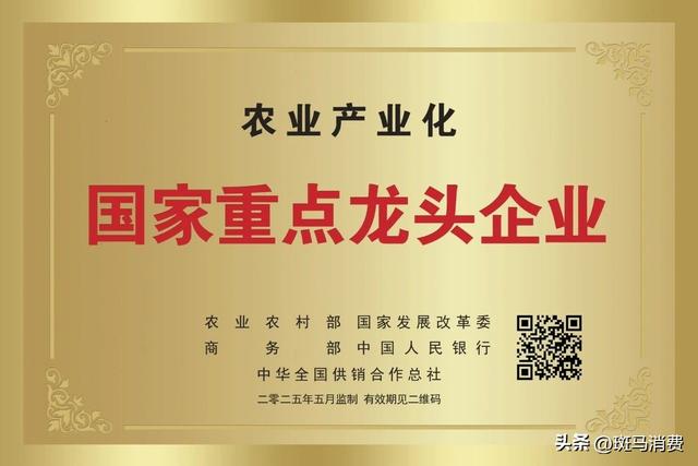泡财经