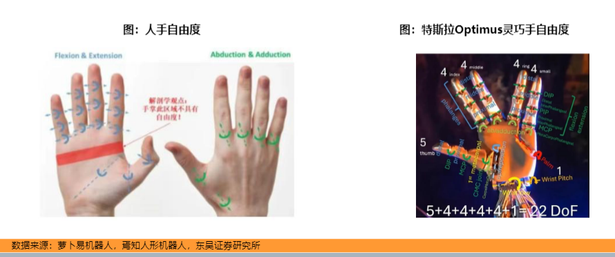 人形机器人灵巧手行至何处？