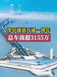 深中通道开通一周年！总车流超3155万