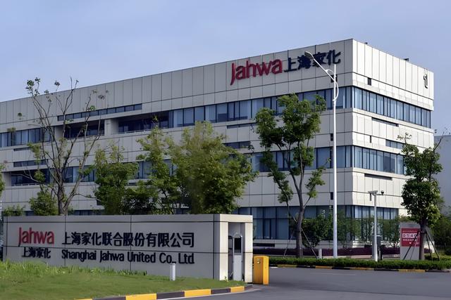 被“耽误”的上海家化