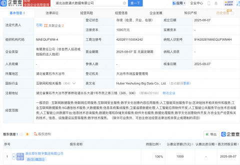 湖北冶数通大数据公司登记成立