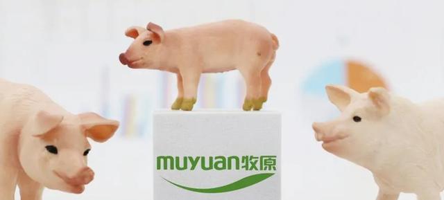 古东管家
