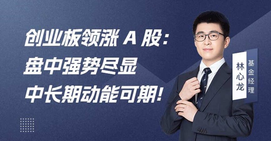 创业板领涨A股：盘中强势尽显中长期动能可期​
