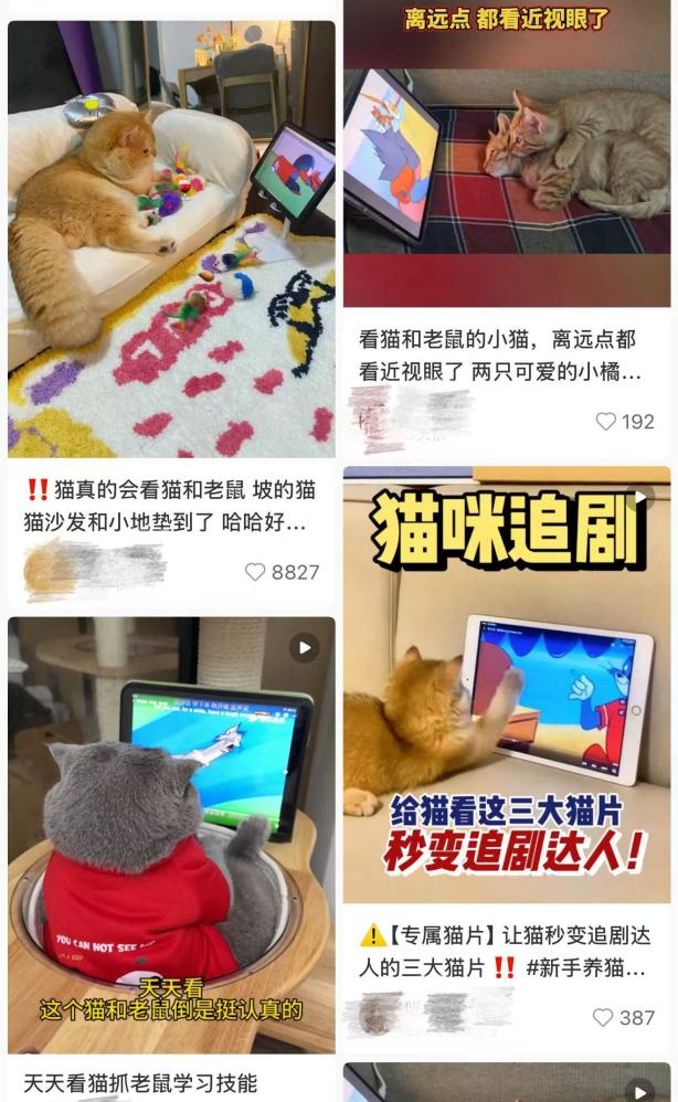 古东管家