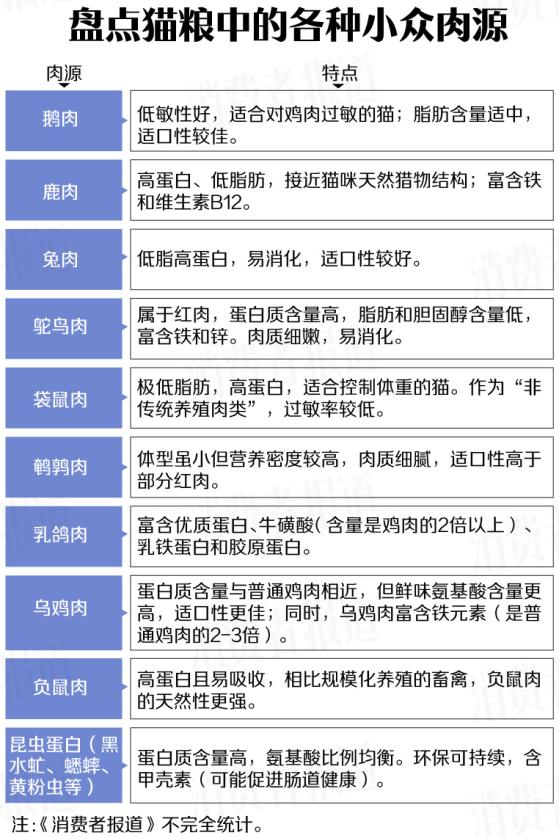 负鼠、袋鼠、昆虫……小众猫粮肉源大PK！铲屎官：都没吃过，咋选？