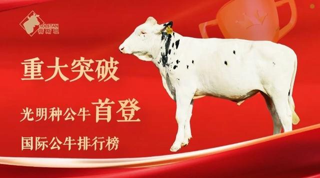 光明乳业2025半年报:基本盘稳健,经营韧性十足
