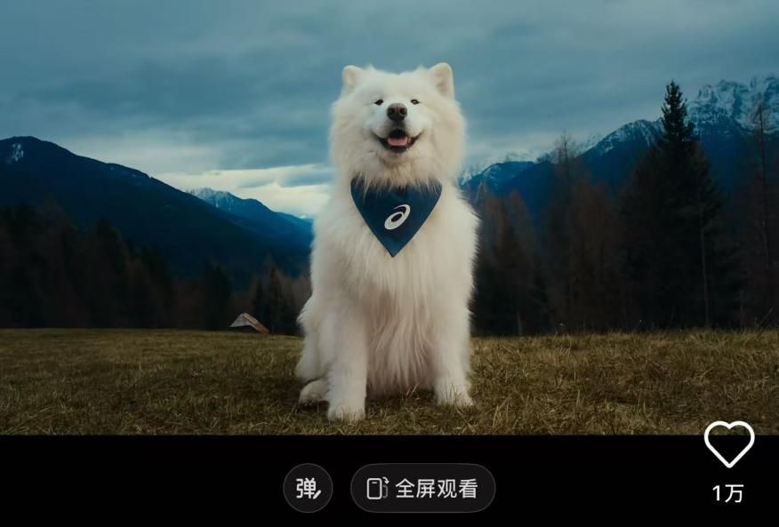 古东管家