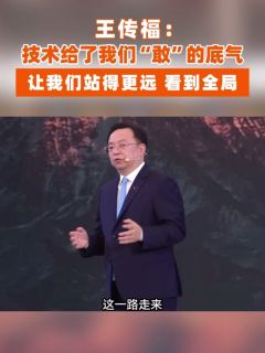 王传福：技术给了我们“敢”的底气，让我们站得更远，看到全局