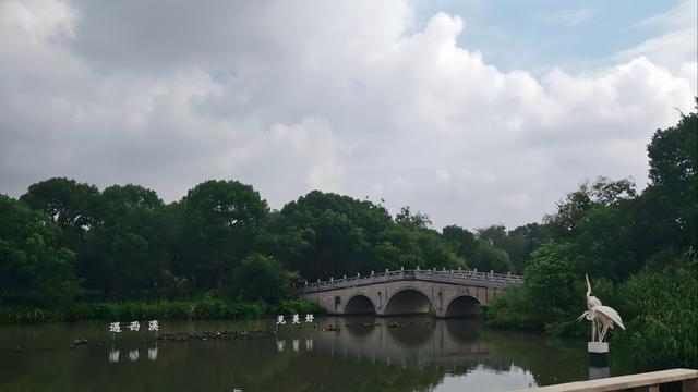 短暂雄起还是长牛来临？理性看待甲骨文管理层画的“大饼”