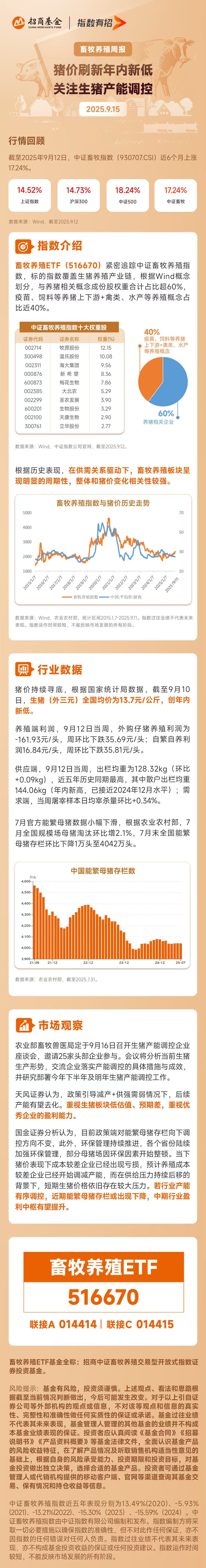 出栏均重近五年新高，猪价跌至年内新低，资金逆势布局畜牧养殖ETF（516670）