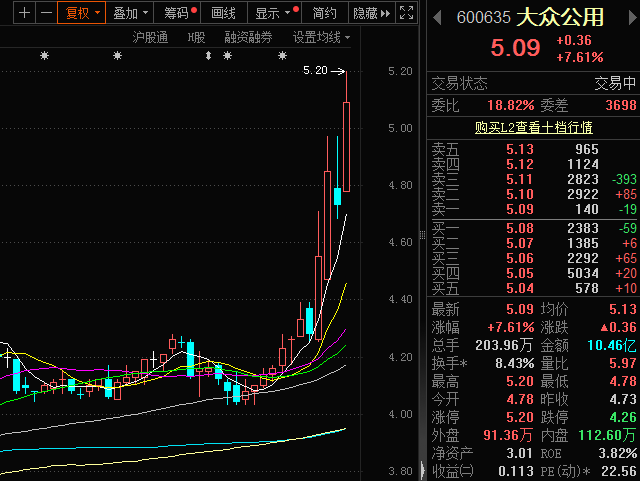 业绩大幅增长叠加热门概念，大众公用盘中涨停