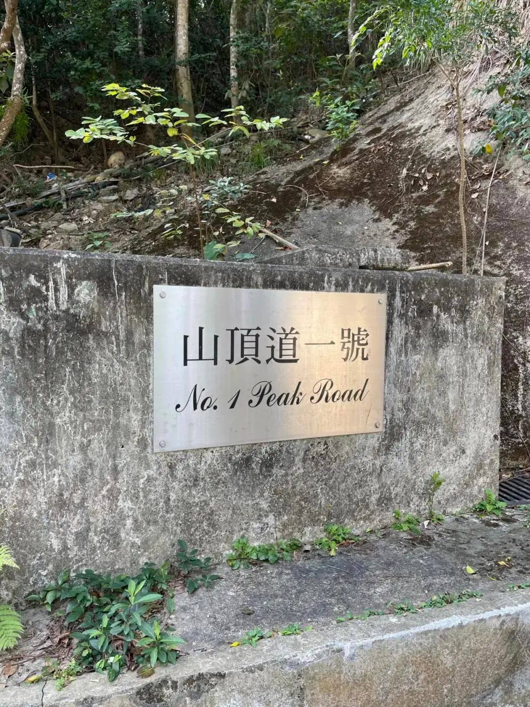 女佣自杀,最贵凶宅诞生!许家印好牌友要吐血了