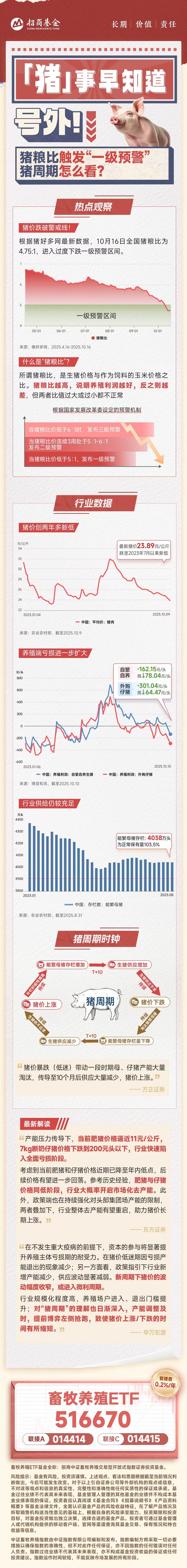 猪粮比触发“一级预警”，猪周期怎么看？
