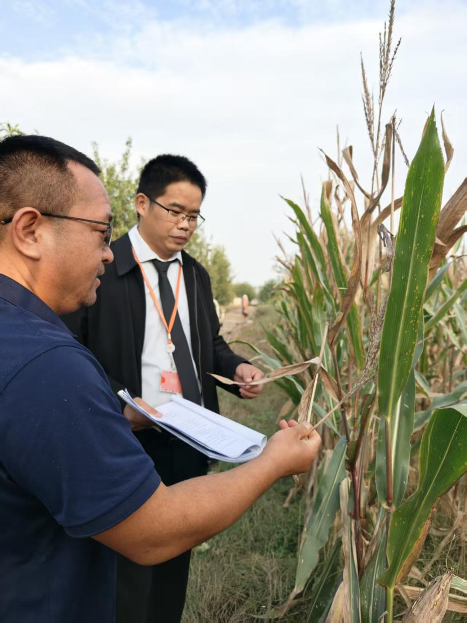 防秋汛保秋收 平安融易金融活水助农复产