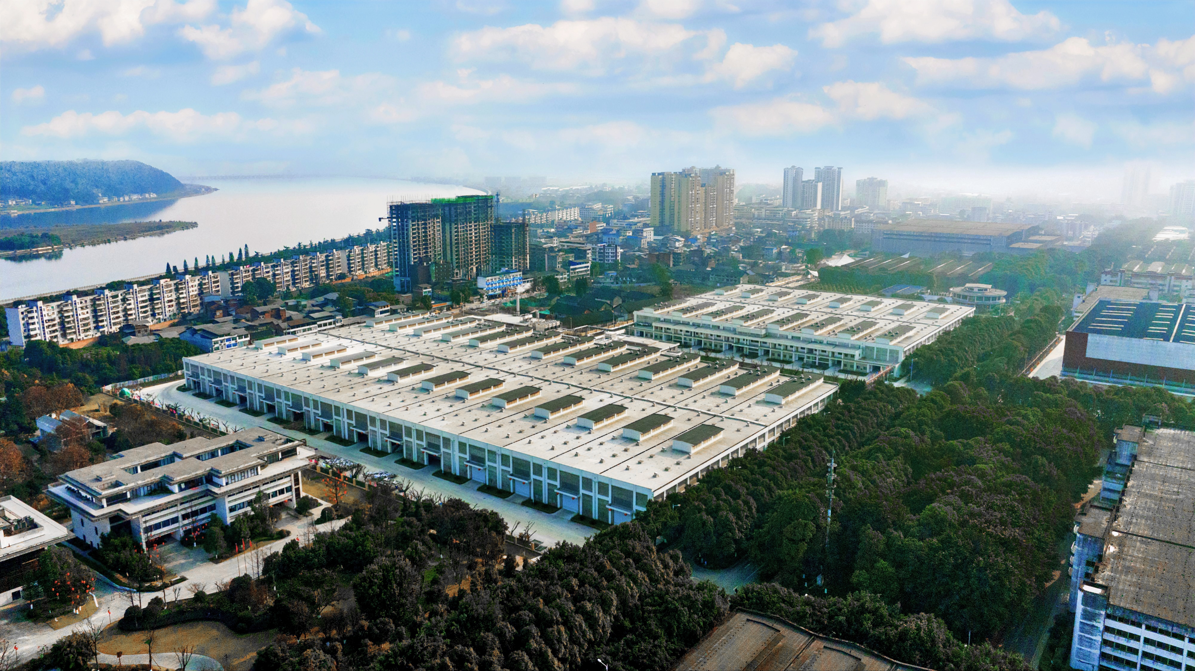 舍得酒业前三季度营收降幅收窄，承压韧性凸显，多点创新开拓增量市场