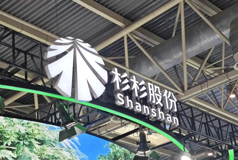 突发利空！杉杉股份18万股民“眼前一黑”……