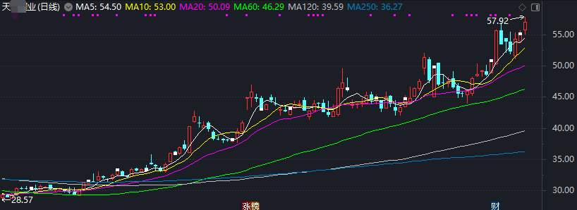 触目惊心，“血案”！