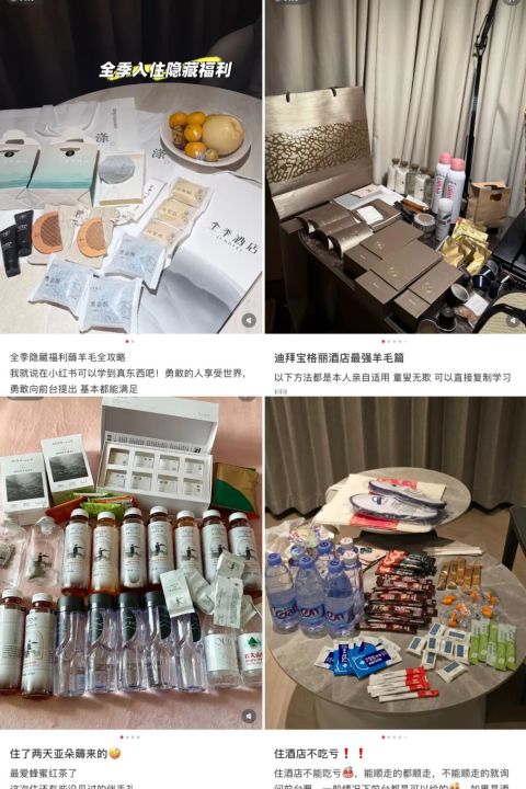 “薅羊毛”大军，正重塑酒店业生态