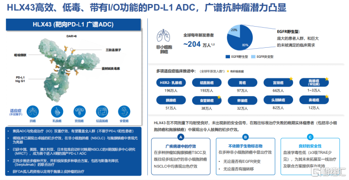 复宏汉霖(02696.HK):加码全球第一大癌症赛道,以差异化创新重塑肺癌治疗格局