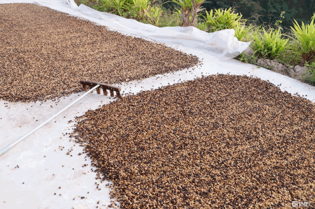 拼多多“千亿扶持”落地半年,“包邮区”持续扩大,更多地区享受便利网购服务