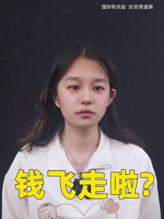 钱飞走啦?