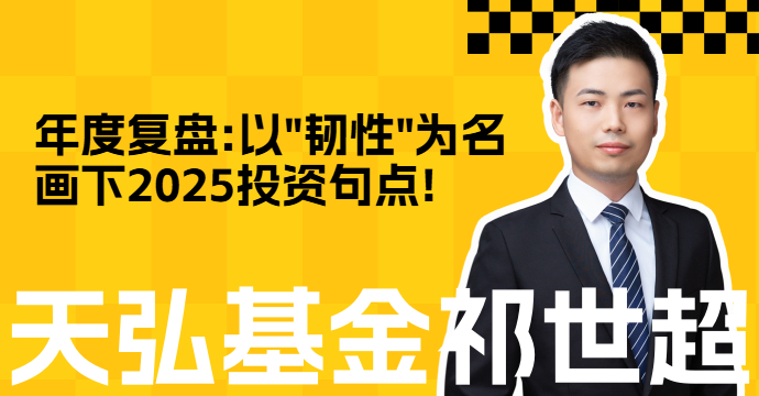 2025年度复盘：以“韧性”为名，画下2025投资句点