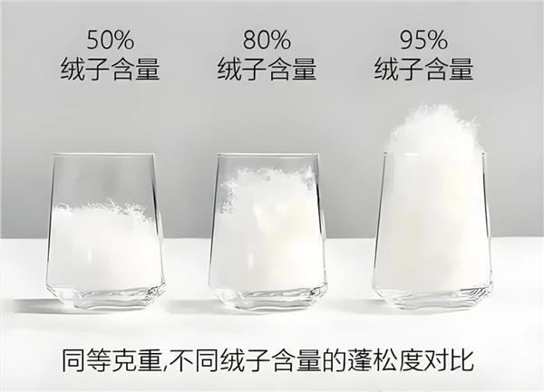 充绒量≠保暖力！羽绒服价差之谜：不止是羽绒，更是价值的选择