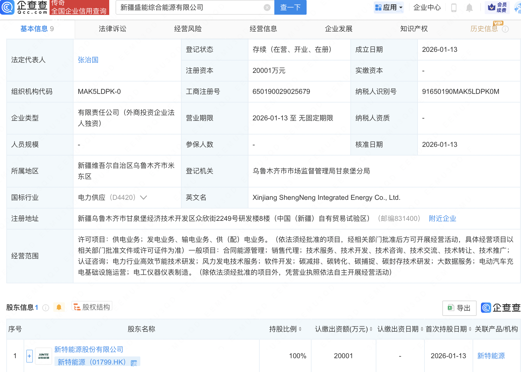 新特能源在新疆成立综合能源公司
