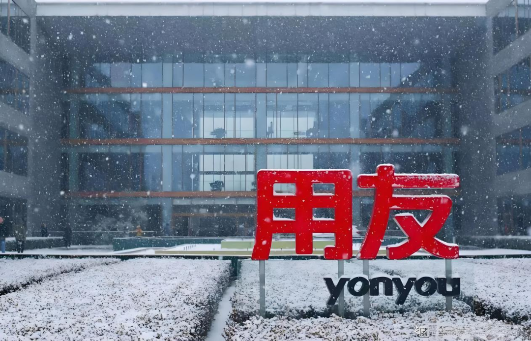 守成与突围——用友IPO招股书中的竞争生态位分析