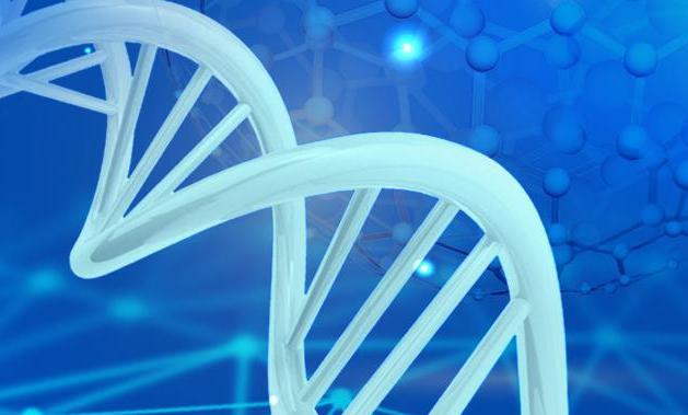 五年三次募资，悦康药业赴港上市，是战略出海还是现金流防守？