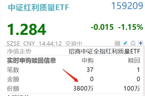 不含银行,重仓有色!两市唯一的中证红利质量ETF(159209)盘中获近5000万大单增仓