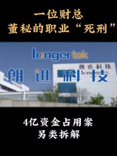 4亿资金占用案：一位财总董秘的职业“死刑”