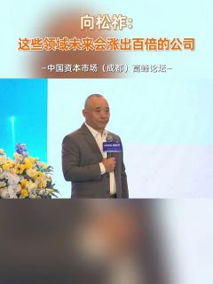 向松祚：这些领域未来会涨出百倍的公司