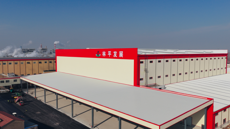 林平发展即将挂牌沪主板，深耕循环造纸践行绿色低碳