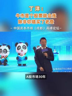 丁洋：牛市是个股票就会涨 除非你错买了老登