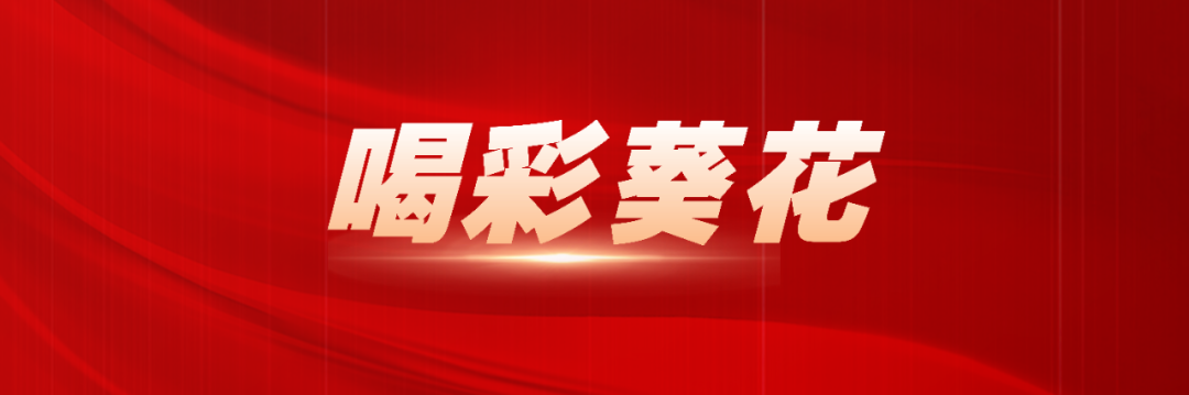 喜报 | 葵花药业荣膺2025福布斯中国“品牌卓越管理成就奖”