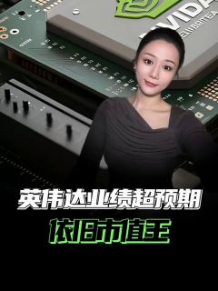 英伟达业绩超预期,依旧市值王!
