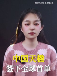 中国天楹签下全球首单，搅动绿色能源全球变局