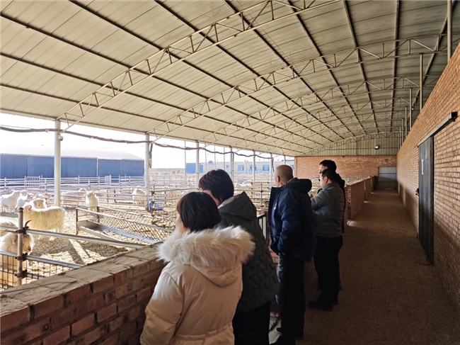 深耕结硕果 赋能绘新篇