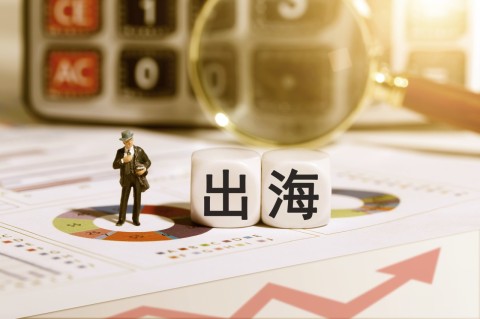 营收创下历史新高后，璞泰来瞄准东南亚市场，要砸20亿投建负极材料生产基地