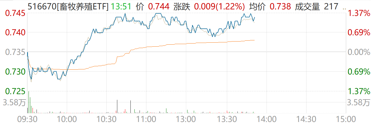 农业趋势转强！畜牧养殖ETF（516670）午后涨超1.2%，生猪产能去化预期升温