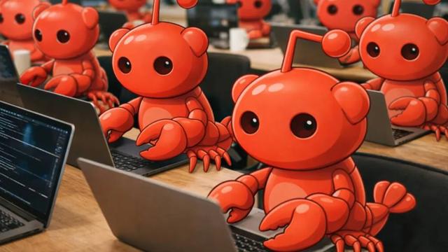 全网养虾狂热，可能是一场泡沫？