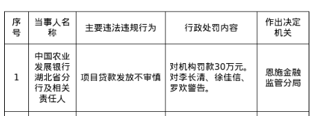 农发行湖北省分行被罚30万，涉项目贷款发放不审慎