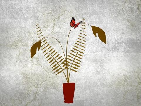 艾柯医疗重启IPO背后:生存压力陡增,吕树铣、吕怡然父子控制