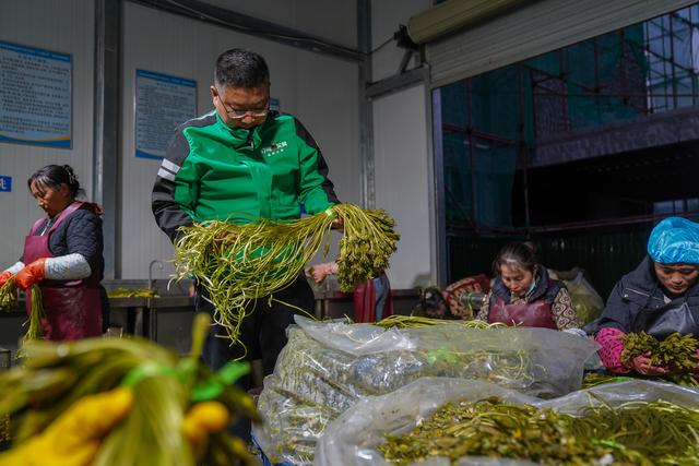 从125款春菜看，叮咚买菜如何成为蔬菜“尖子生”