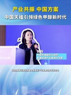 2026绿色氢基能源创新峰会,中国天楹_ 产业共振 中国方案-中国天楹引领绿色甲醇新时代